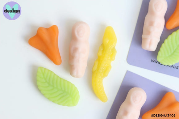 Explorer Jet Plane Mint Leaf Croc Lolly Resin Magnets Set of 4