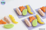 Explorer Jet Plane Mint Leaf Croc Lolly Resin Magnets Set of 4