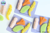 Explorer Jet Plane Mint Leaf Croc Lolly Resin Magnets Set of 4