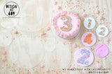 Acrylic Sprinkle Number Templates 0 - 9 (various sizes available)